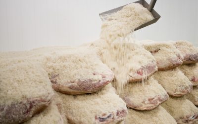 Perché il sale è necessario per la stagionatura del prosciutto iberico?